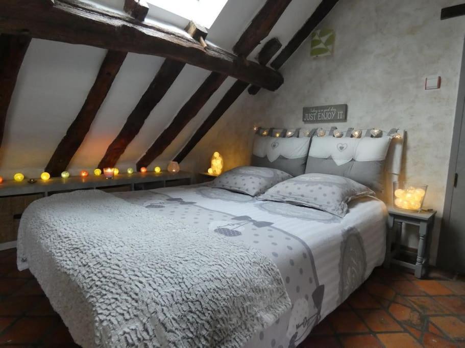 Maison De Charme Pres De Beauval Saint-Cyran-du-Jambot Buitenkant foto